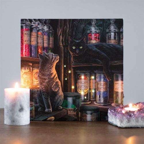 Magical Emporium Light Up Canvas Plaque by Lisa Parker